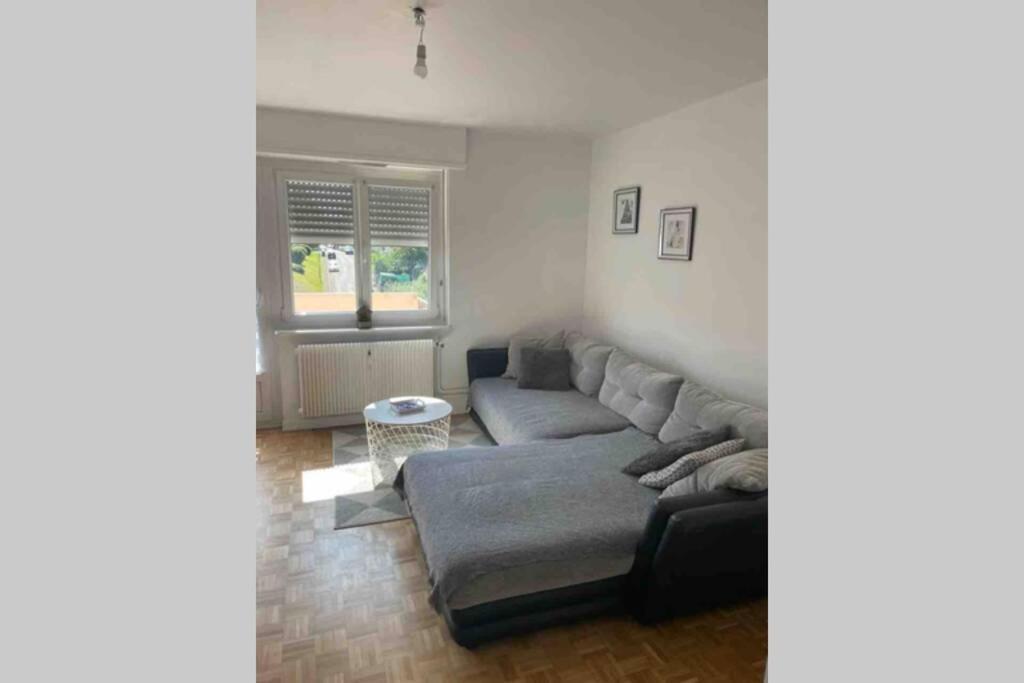 Tres Bel Appartement F4 Proche Gare Riedisheim Kültér fotó